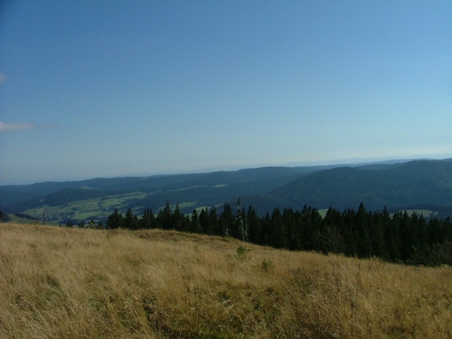 Außerdem ist die Aussicht grandios:Hier sieht man hinter einer Reihe von Tannen das Bernauer Tal.